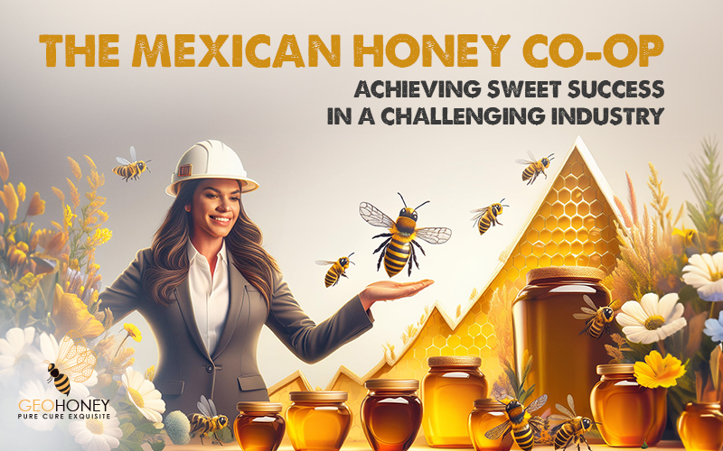 The Mexican Honey Co-op Achieving Sweet Success in a Challenging Industry
